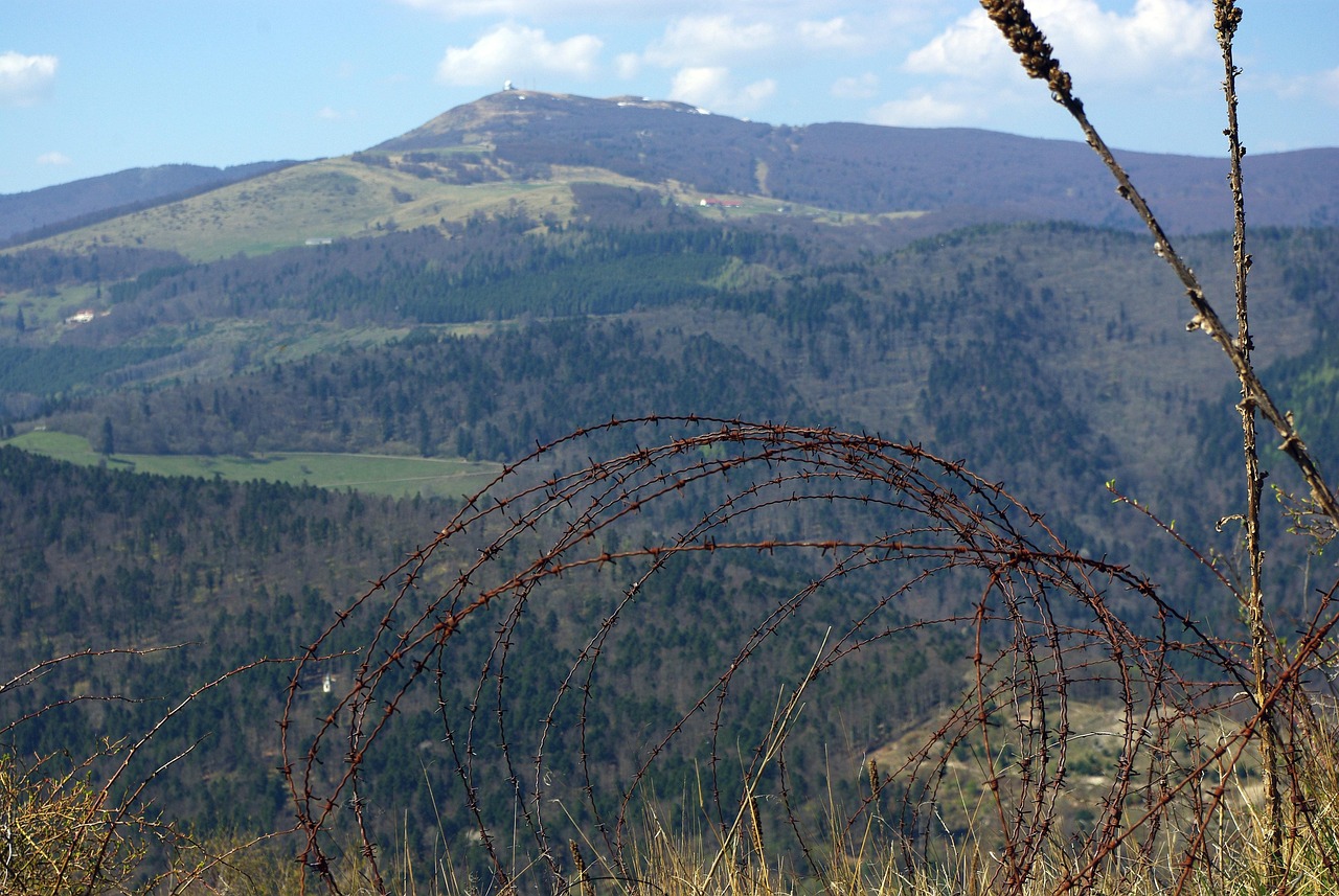 宇宙ip实名账号：最新棋牌平台招代理