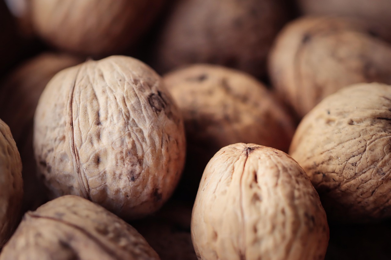 新剑侠情缘辅助- 高行代理注册