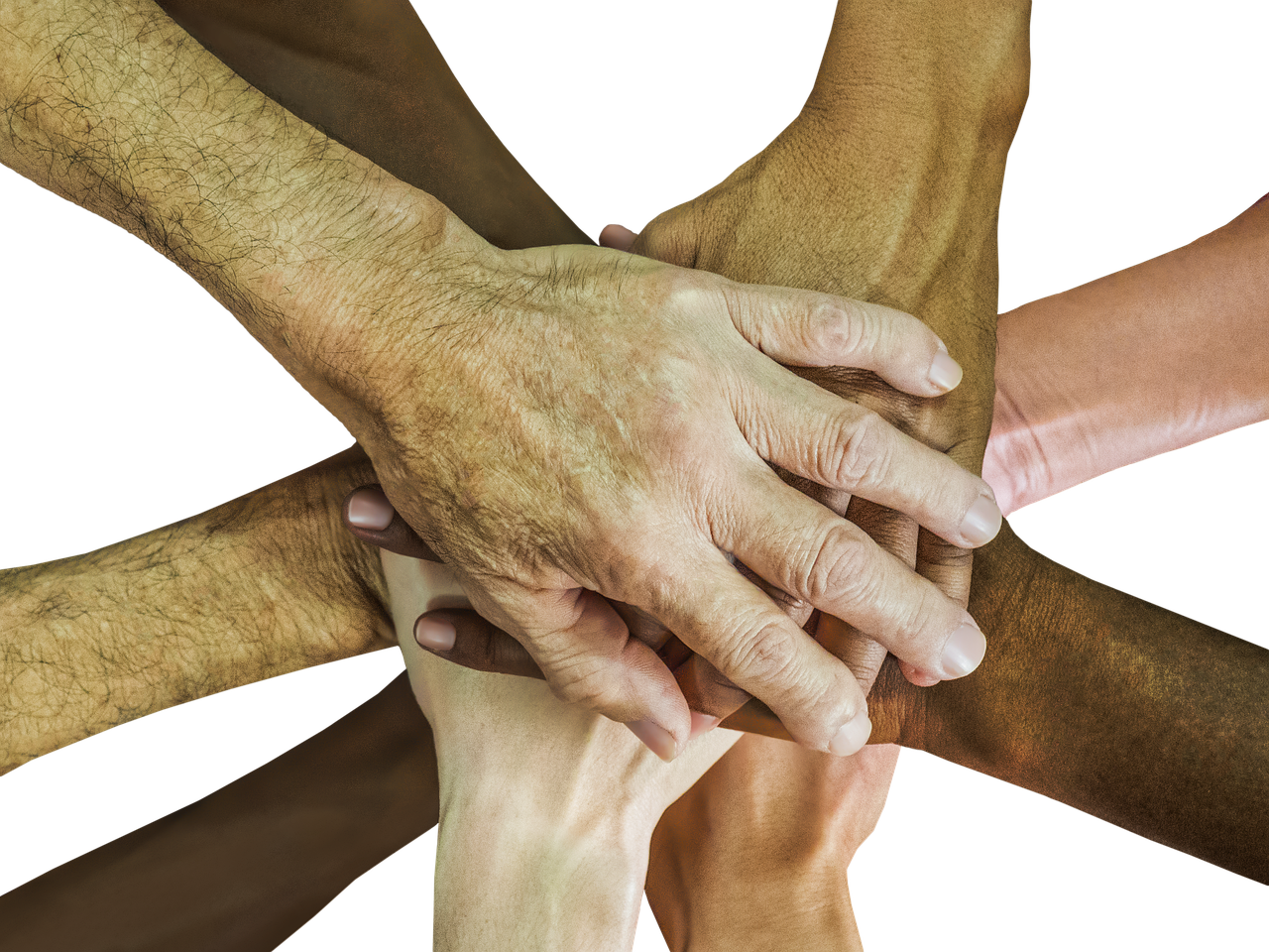 铁塔猫柠檬细枝双爆珠（细）：代理注册国际邮箱